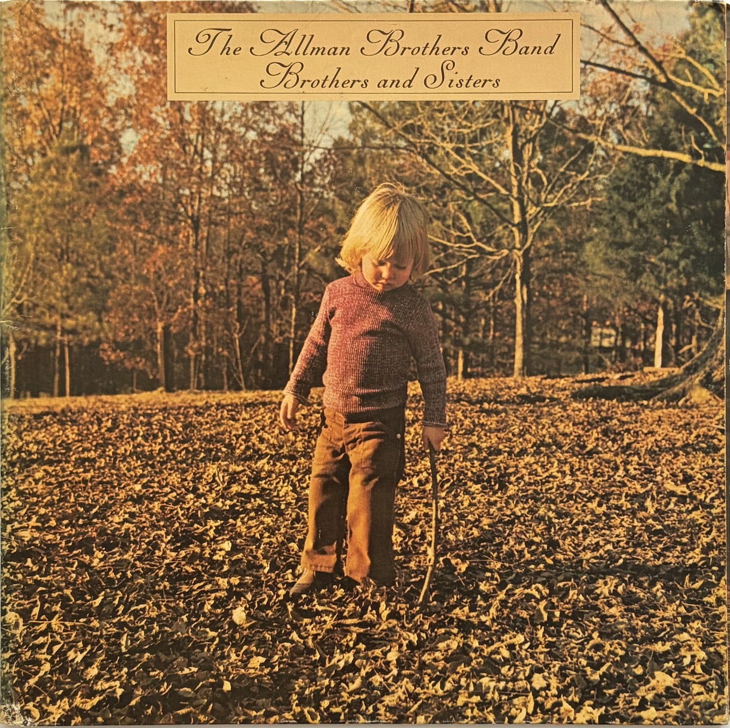 The Allman Brothers Band - Brothers and Sisters